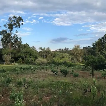 Solar Da Gaia Farm stay *