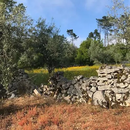 Solar Da Gaia Farm stay *