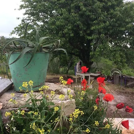 Farm stay Solar Da Gaia
