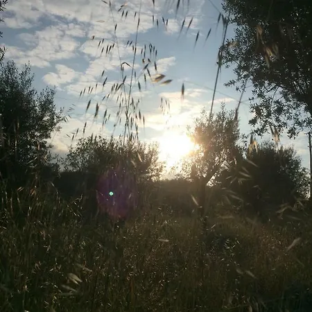 Farm stay Solar Da Gaia